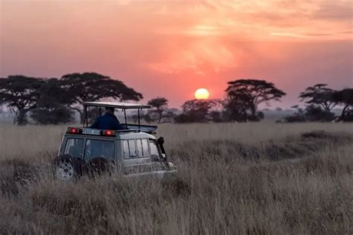7 Best Countries for Safaris in Africa