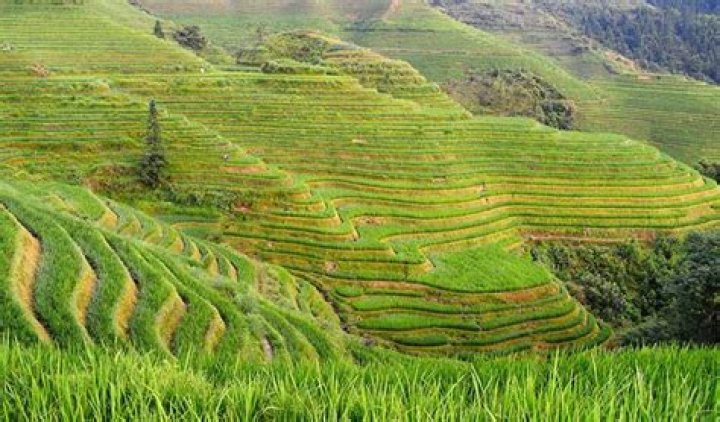 7 Best Places to Teach English in China in 2024