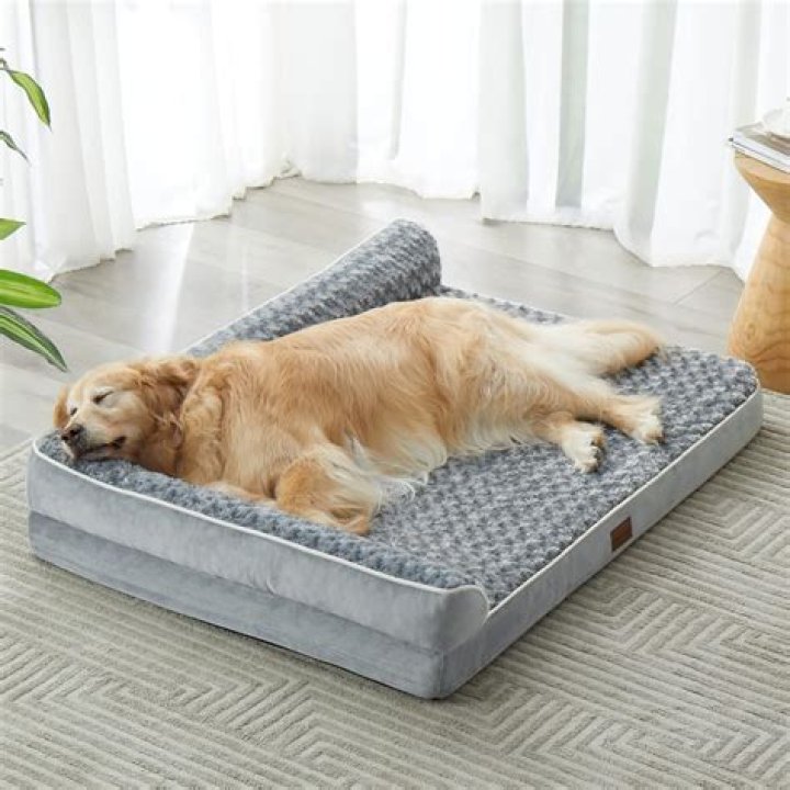 9 Best Orthopedic Dog Beds, All Vet-Approved