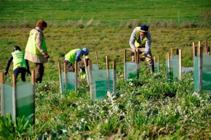 Agriculture Internships Abroad | GoAbroad.com