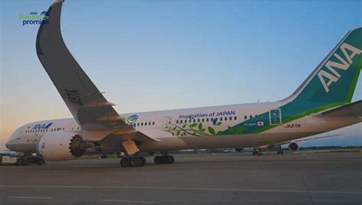 All Nippon Airways Is Officially Flying With The Demon Slayer