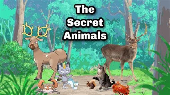 are there real animals in the pokemon world?