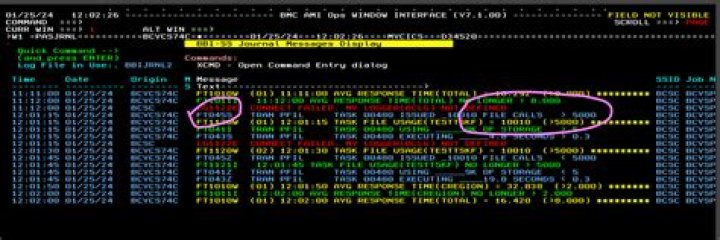 Calling the API through a C or C++ program - Documentation for BMC AMI Defender for z/OS 6.1