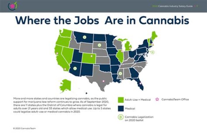 CannabizTeam Releases 2020 US Cannabis Industry Salary Guide, Q3 Update