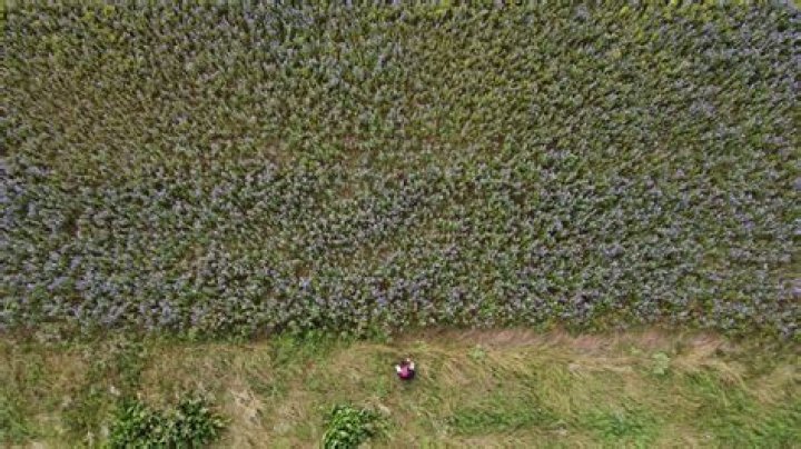 Find out who is the best