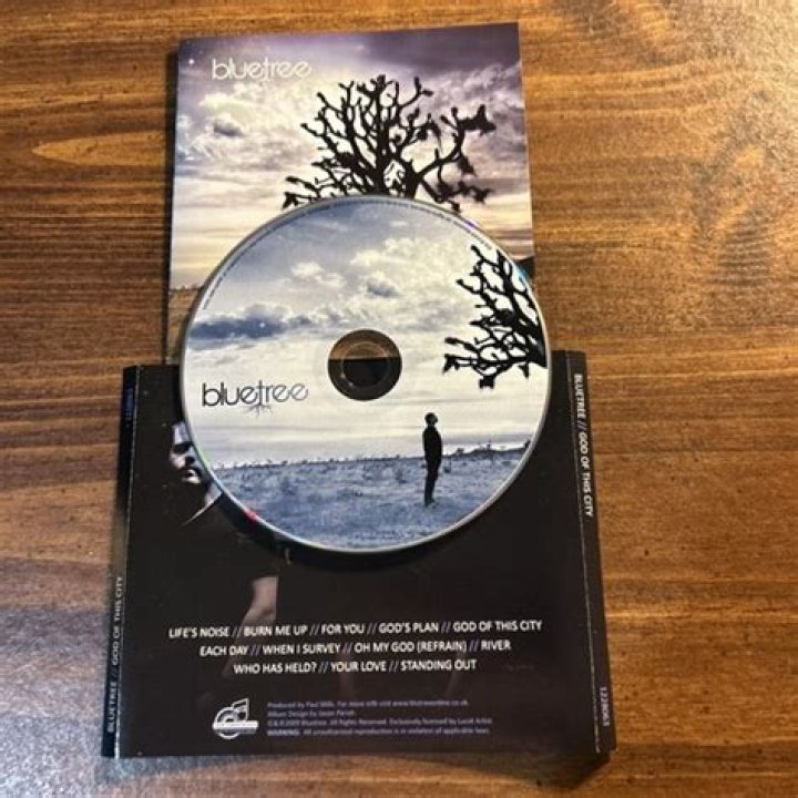 God Of This City by Bluetree