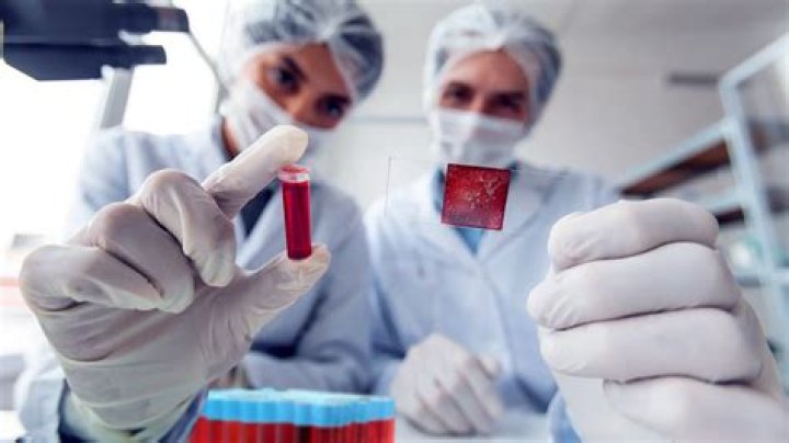 Hematology Oncology Fellowship