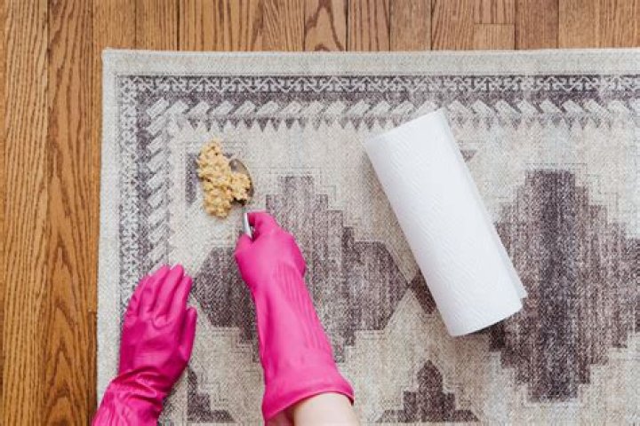 How To Clean Up Dog and Cat Vomit From Carpet