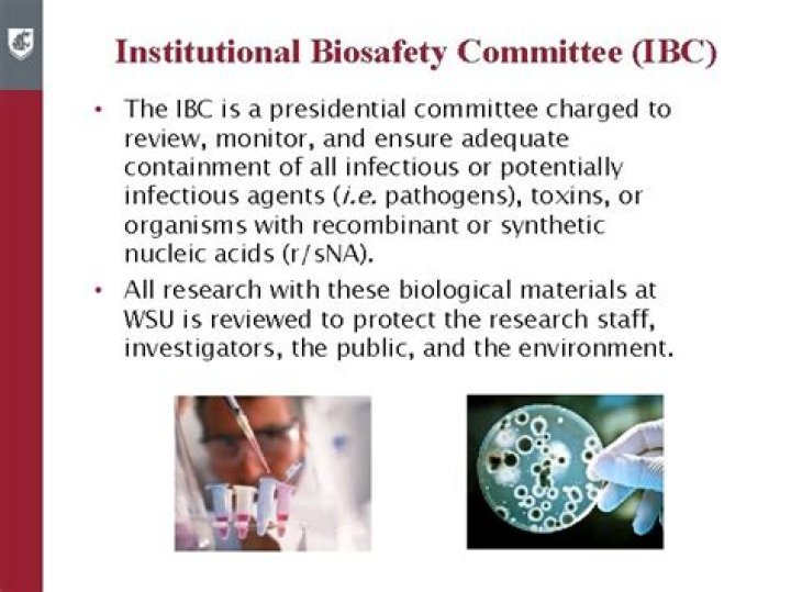 Institutional Biosafety Committee (IBC) Contacts