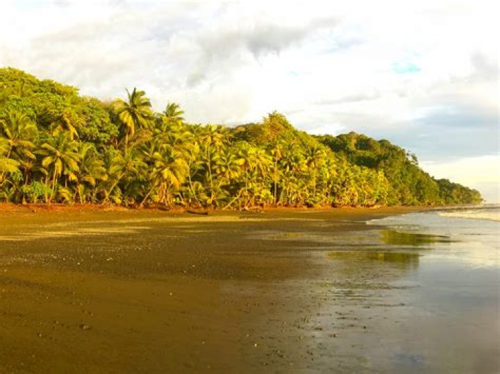 Internships in Punta Banco, Costa Rica