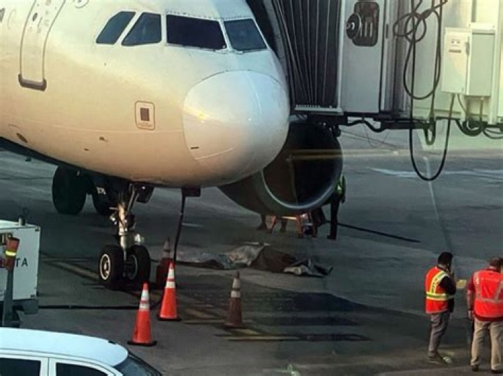 Jared Schaffer Obituary – Death: Indianapolis, Indiana Man, Jared Schaffer Died by Suicide