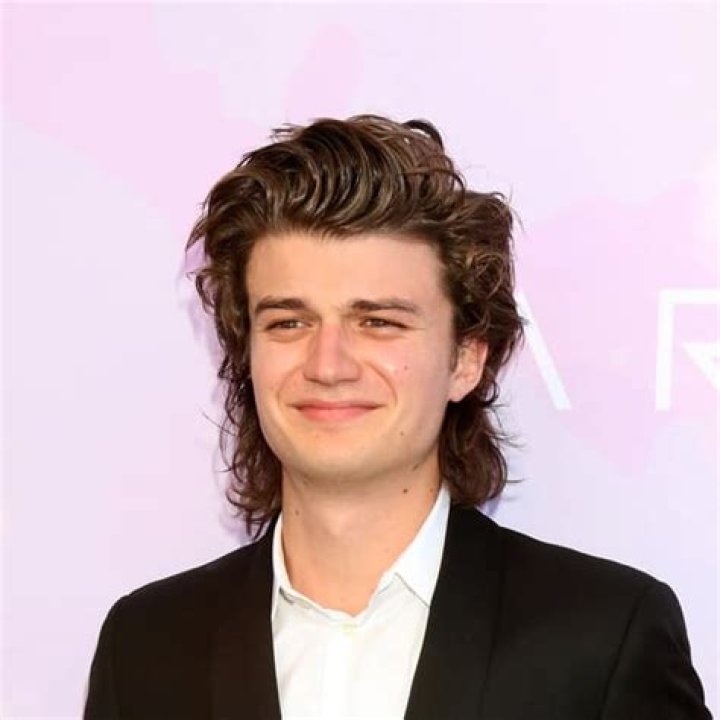 Joe Keery - Age, Bio, Birthday, Family, Net Worth