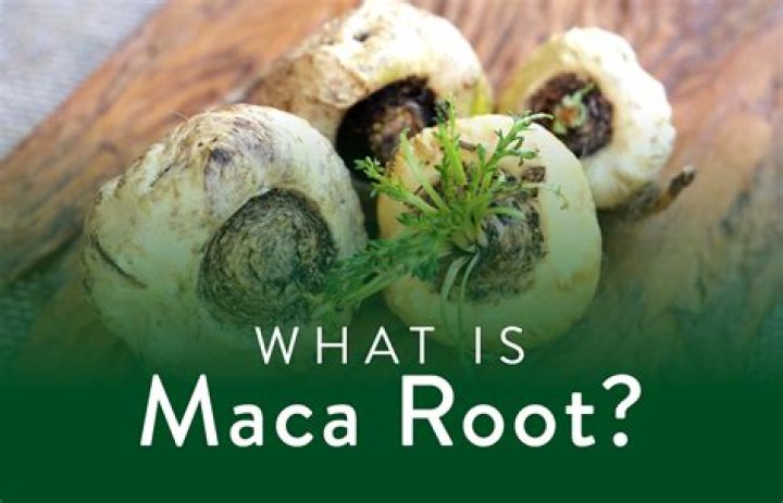 Maca Root and Fertility: What To Know