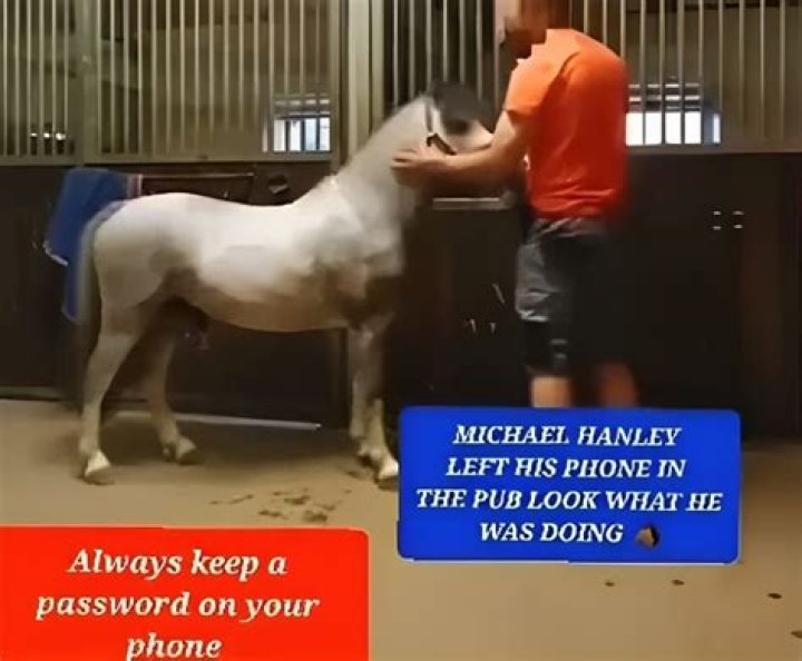 Michael Hanley Horse Video Leaked On Twitter: What's In The Lisa Crazy Clip?