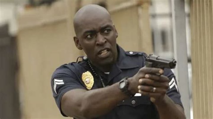 Michael Jace Played the Good Guy on TV, But in Reality, He Was Far From Good: Learn About His Crime