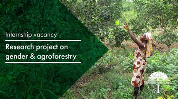 Remote Communications Internship in Agroforestry