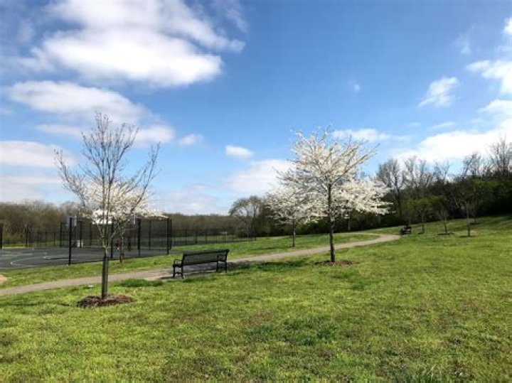 Royal View Gardens, 84-19 51st Avenue - Elmhurst