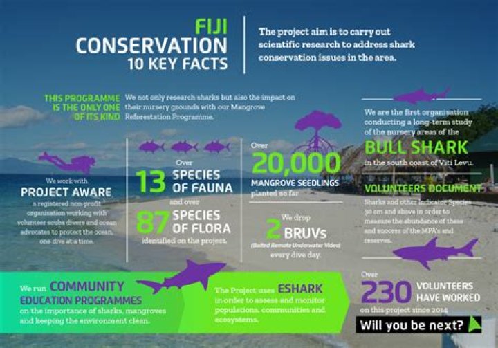 Shark Conservation Project in Fiji for Teenagers