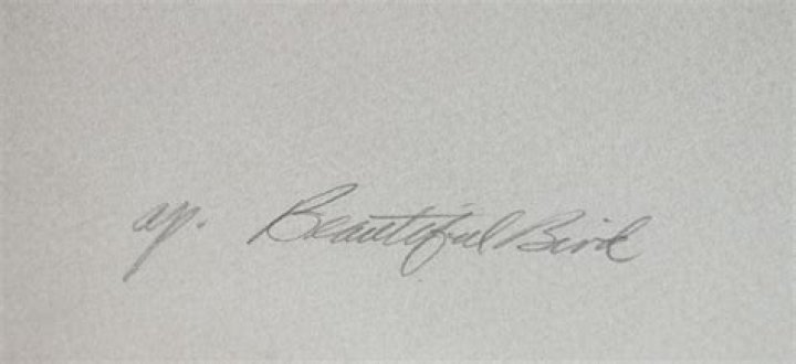 Shelly Fink Obituary : In Loving Memory Of Shelly Fink