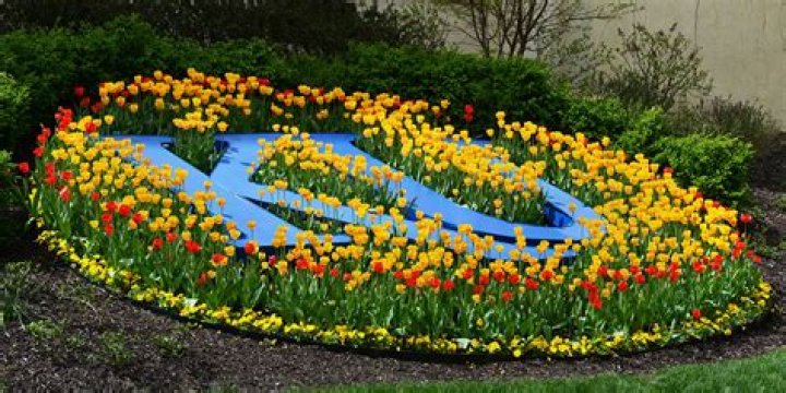 Staff and Staff Dependent Rates