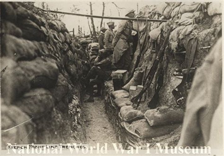 Trench Fever in the First World War