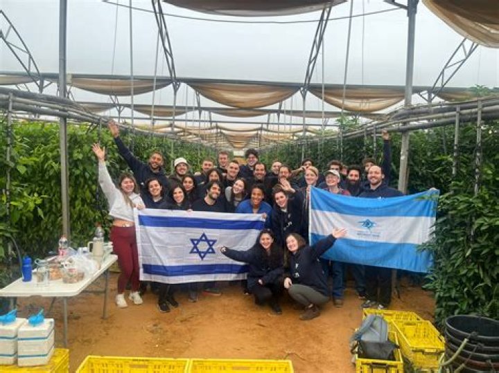 Volunteer Programs in Israel | GoAbroad.com