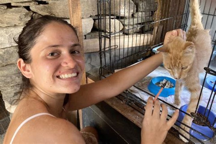 Volunteering in Greece - Taking Care of Rescued Cats