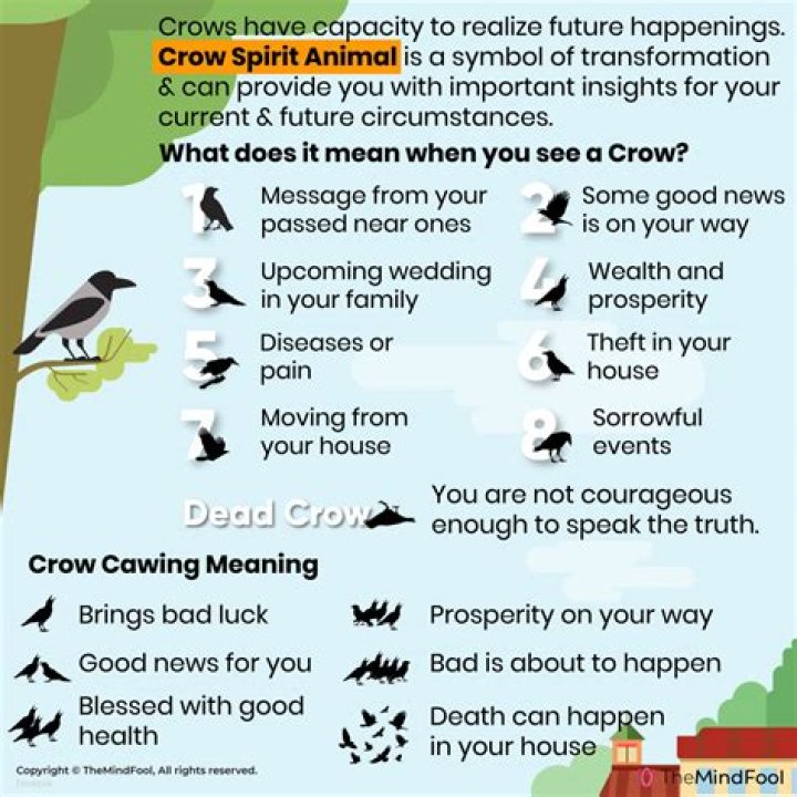What do Crows Symbolize? What do Crows Symbolize Spiritually