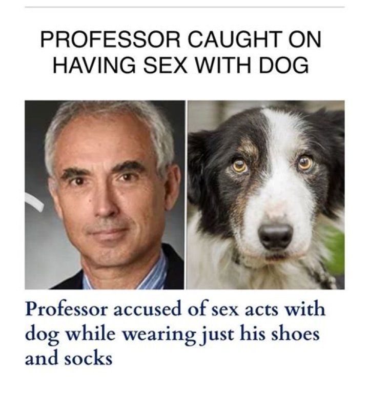 Who Is Themis Matsoukas? Penn State Professor Accused Of Engaging In Sexual Acts With A Dog